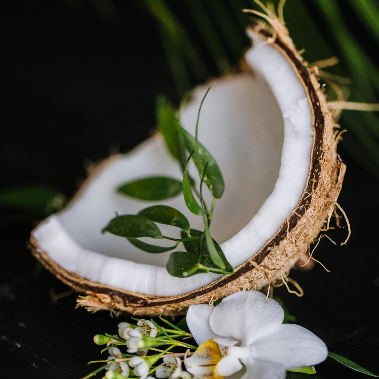 Repair & Moisturizing Conditioner | Viori | SBS